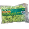 冰冻 蚕豆/TK CHOICE Geschälte Ackerbohnen 500g