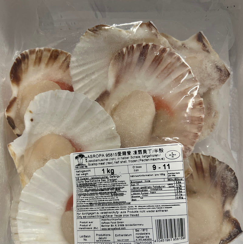 冻扇贝 / Jakobsmuscheln 1kg